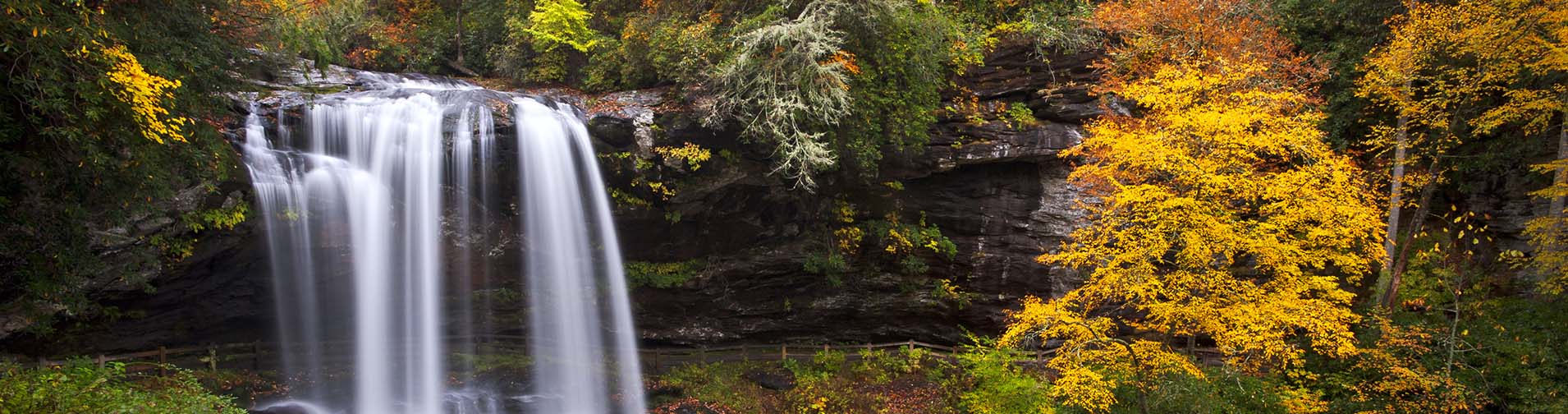 Tennessee River Gorge Ranch